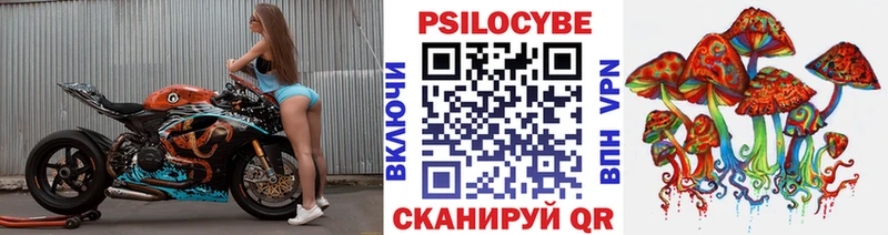 Галлюциногенные грибы мицелий  как найти закладки  Курчатов 