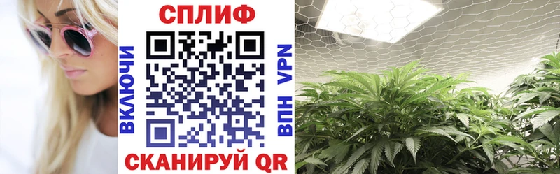 Конопля тримм  darknet официальный сайт  Курчатов 